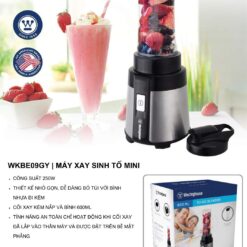 Catalogue Westinghouse