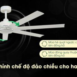 Quạt Trần Lucci Atlanta 12 Quạt Trần Lucci Atlanta