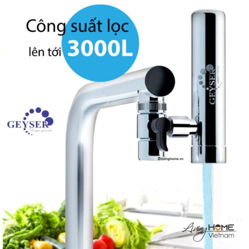 may loc nuoc tai voi geyser euro m 8