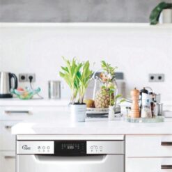 Catalogue Tomate 13 Catalogue Tomate